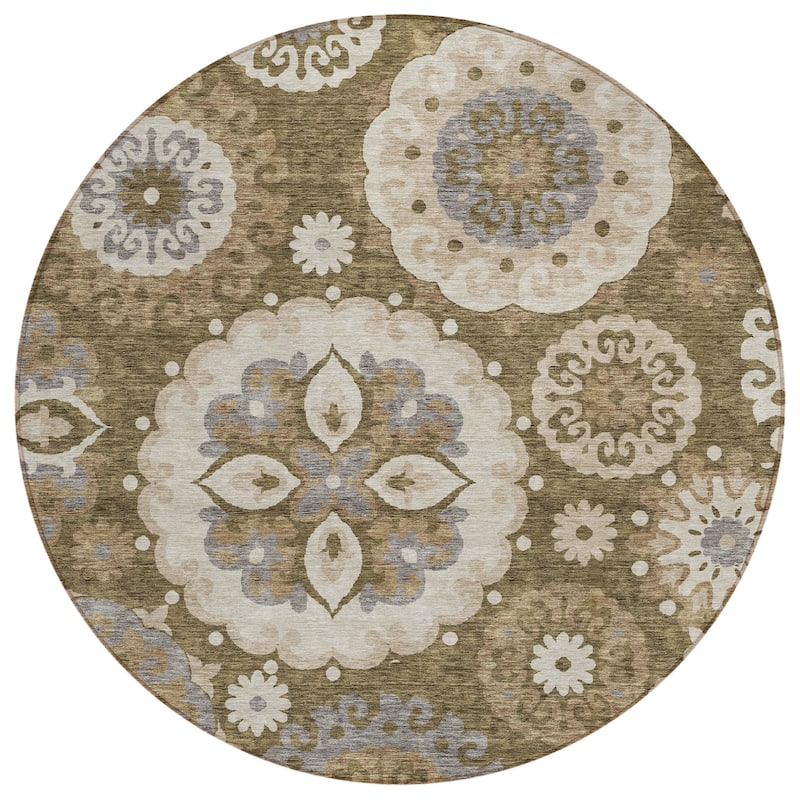 Machine Washable Indoor/ Outdoor Chantille Casual Medallion Rug