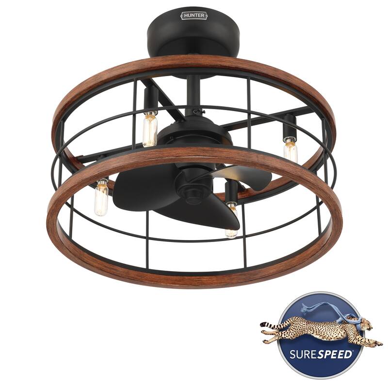 Hunter 22 inch Bridgette Fandelier Ceiling Fan w/ Light, Remote - Modern, Industrial, Farmhouse - Small Spaces