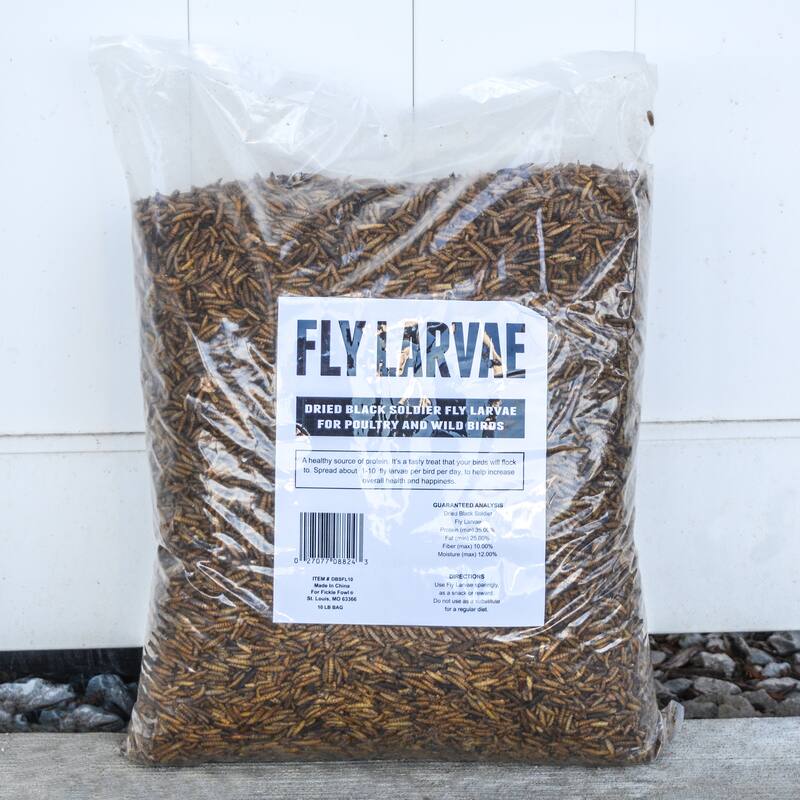 10 LB Dried Black Soldier Fly Larvae - 10 lbs - 10 lbs
