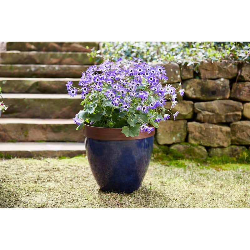 Southern Patio Hornsby Resin Planter