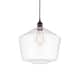 Option Oil Rubbed Bronze / Clear