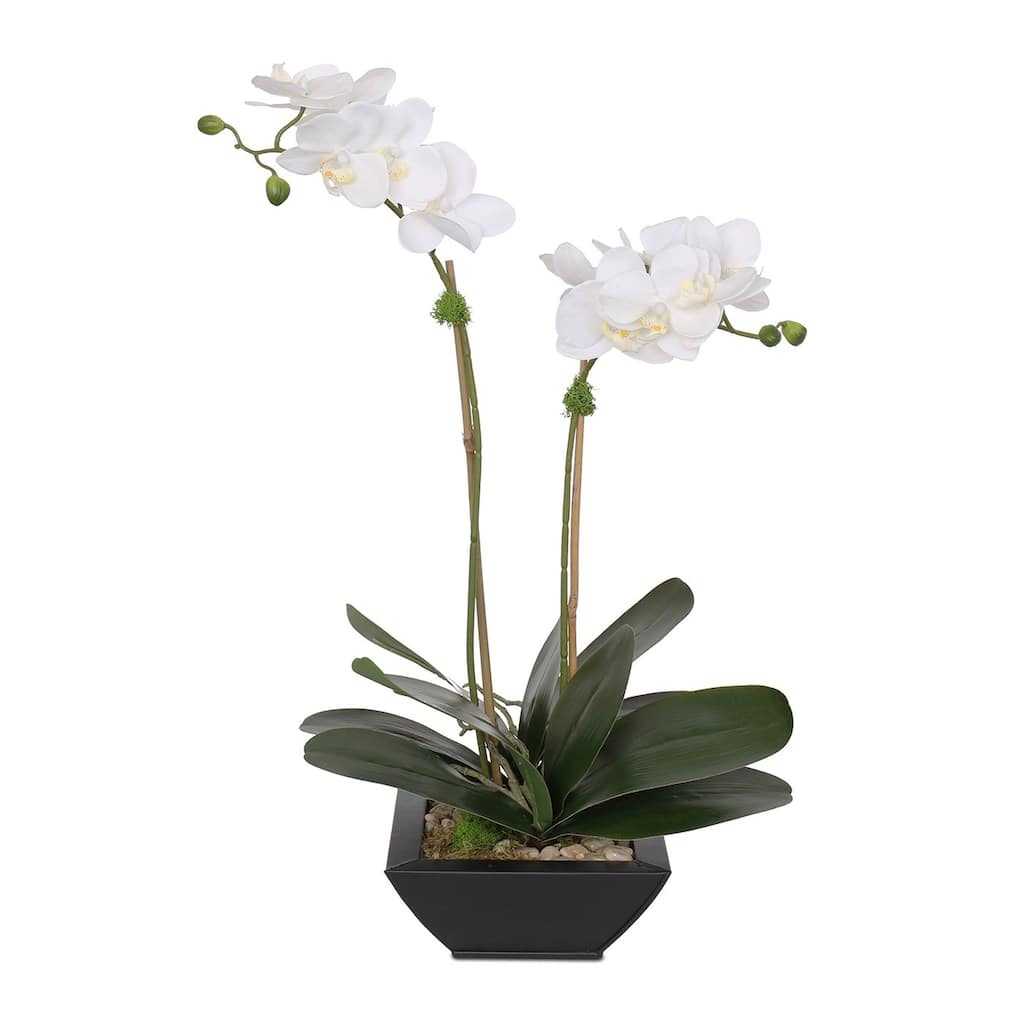 Real Touch White Phalaenopsis Orchids, Leaves, Reindeer Moss in Pot - 12W x 9D x 21H