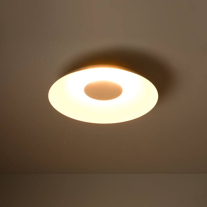 Scandinavian Dimmable LED Round Shallow Dome Ceiling Light 19.7in