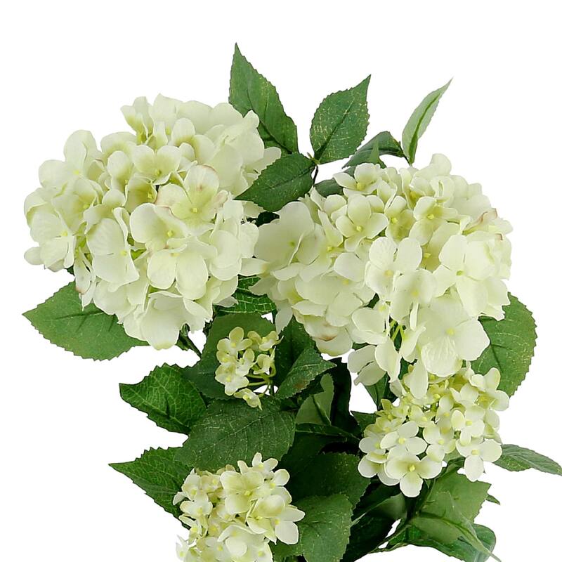 Hydrangea Floral Arrangement in a Tall Clear Glass Vase