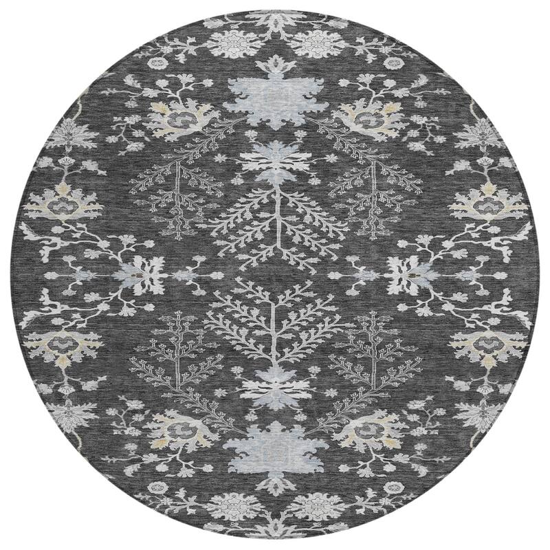 Machine Washable Indoor/ Outdoor Boho Traditional Chantille Rug