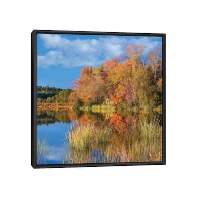 iCanvas "Autumn Along Lake, Tyler State Park, Texas" by Tim Fitzharris Framed Canvas Print