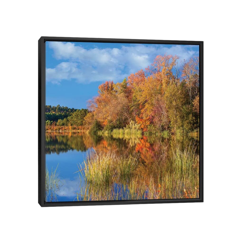 iCanvas "Autumn Along Lake, Tyler State Park, Texas" by Tim Fitzharris Framed Canvas Print