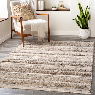 Artistic Weavers Striata Global Wool/Viscose Hand-Woven Area Rug