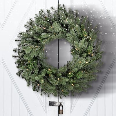 24" LED Colorado Spruce Wreath - Blue Green - 24-Inch