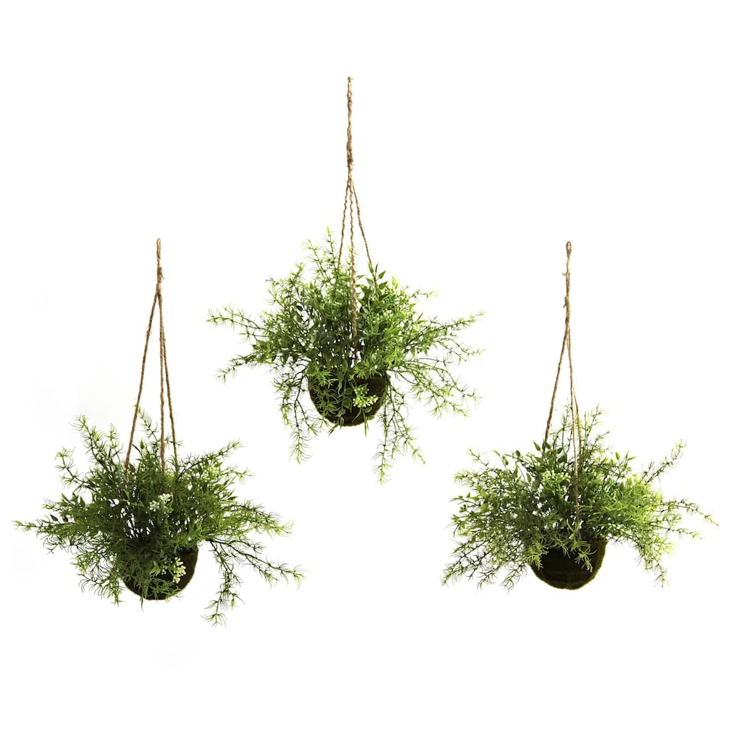 Artificial Hanging Basket Set of 3 - Mini Ruscus Sedum Sprengeri - 15" Decorative Plants
