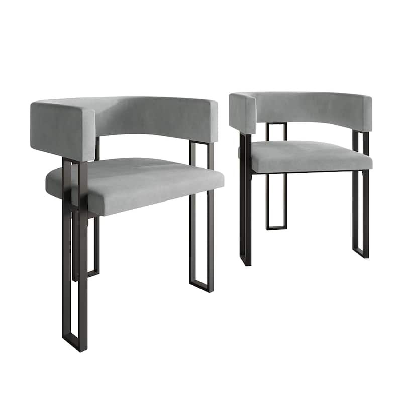 CraftPorch 2 Pieces Contemporary Dining Chair Set - Silver Grey