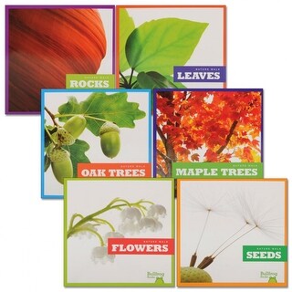 Kaplan Early Learning Let's Take a Walk and Explore Nature Books - Set ...