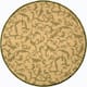 SAFAVIEH Courtyard Darline Indoor/ Outdoor Waterproof Patio Backyard Rug - 7'10"x7'10" Round - Natural/Olive