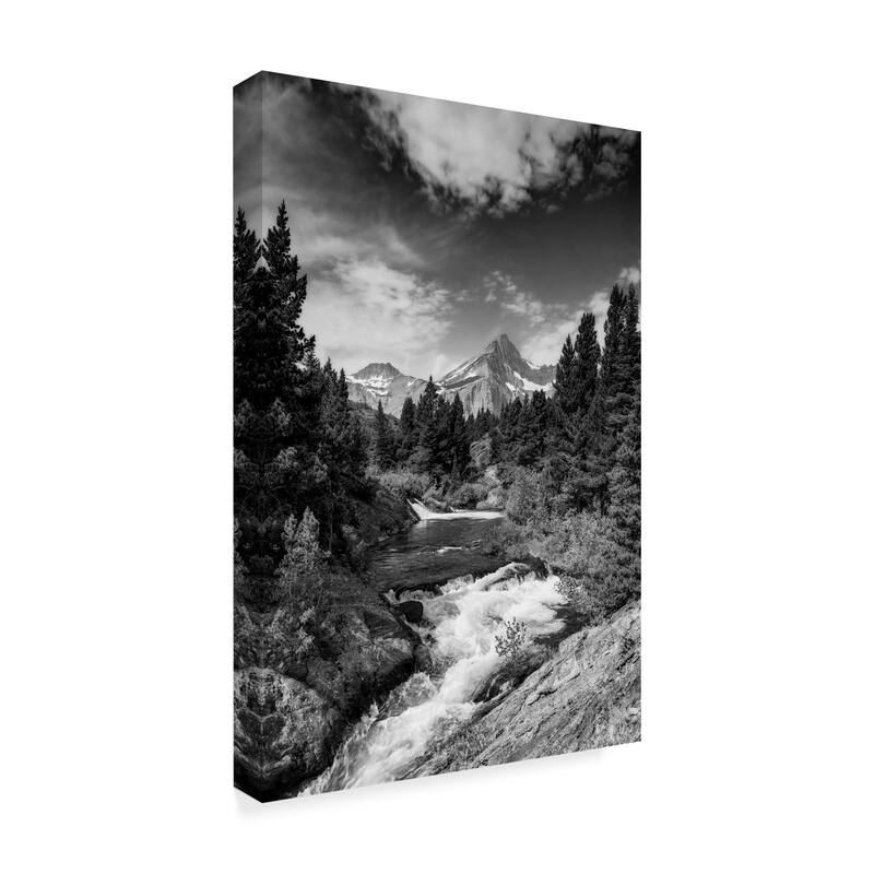 Michael Blanchette Photography 'Glacial Creek Monochrome' Canvas Art