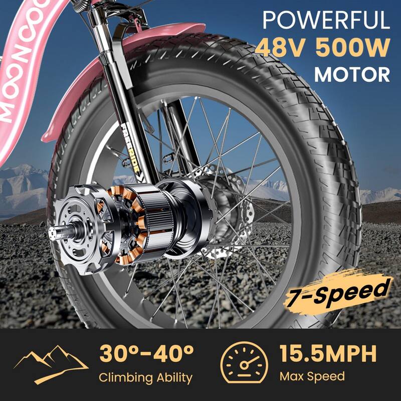 DoCred 20"x4" Fat Tire Electric Tricycle, 48V 500W with 7 Speed Ebike