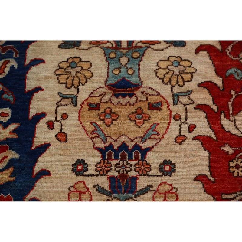 Vegetable Dye Ziegler Oriental Rug Hand-Knotted Wool Carpet - 8'11"x 11'9"