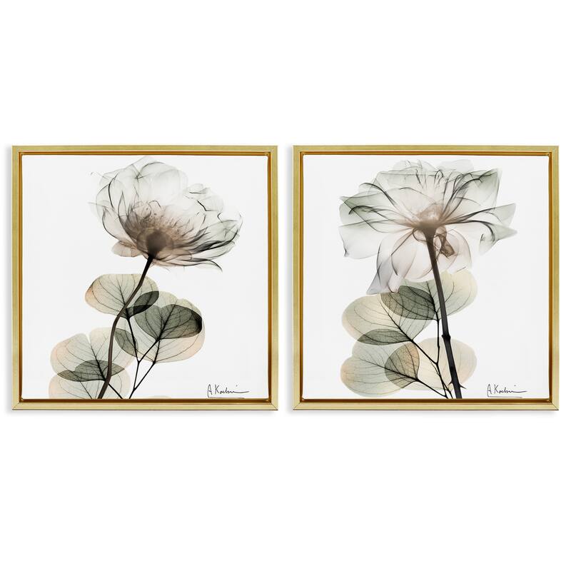 Stupell Cream Transparent Floral Framed Floater Canvas Wall Art Design By Albert Koetsier (Set of 2) - 25 x 25 - Gold