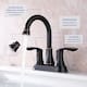 Option Oil-Rubbed Bronze
