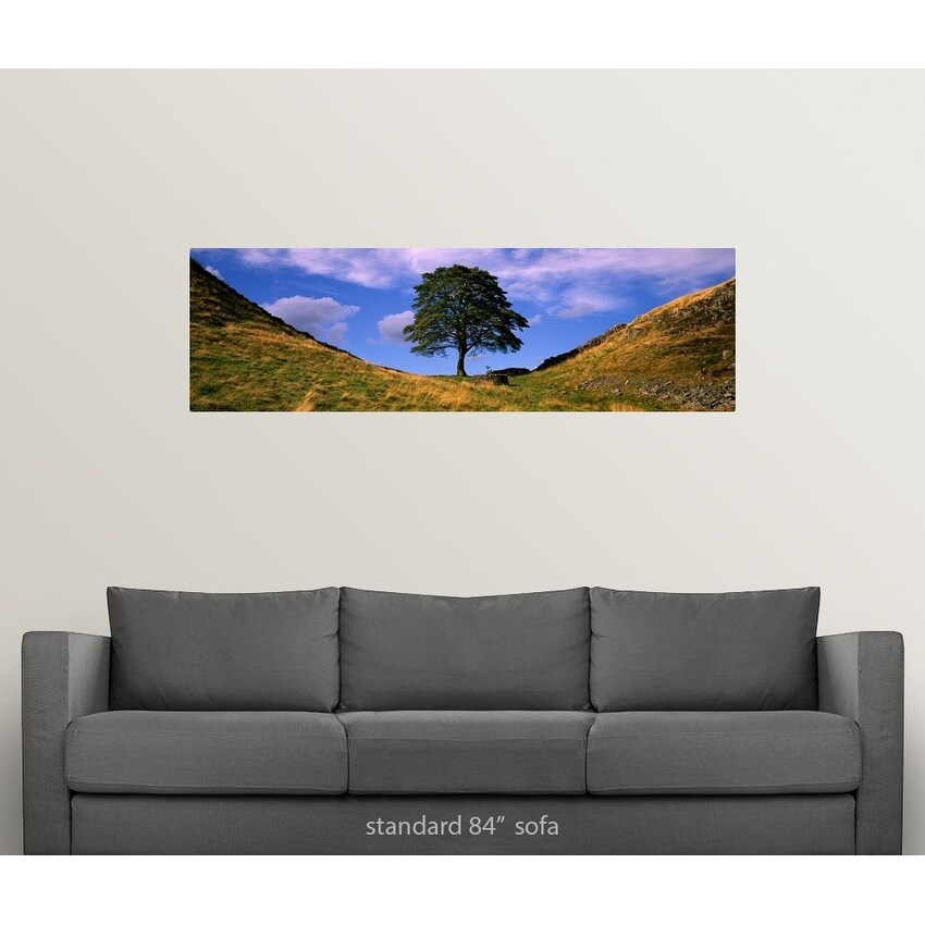 Shop Lone Tree Hadrian S Wall Sycamore Gap Northumberland