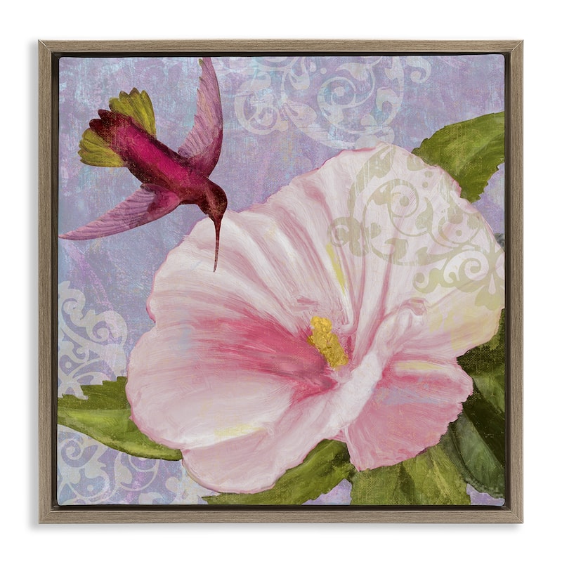 Stupell Hummingbird with White Flower Framed Floater Canvas Wall Art Design By Sasha - 25 x 25 - Brown