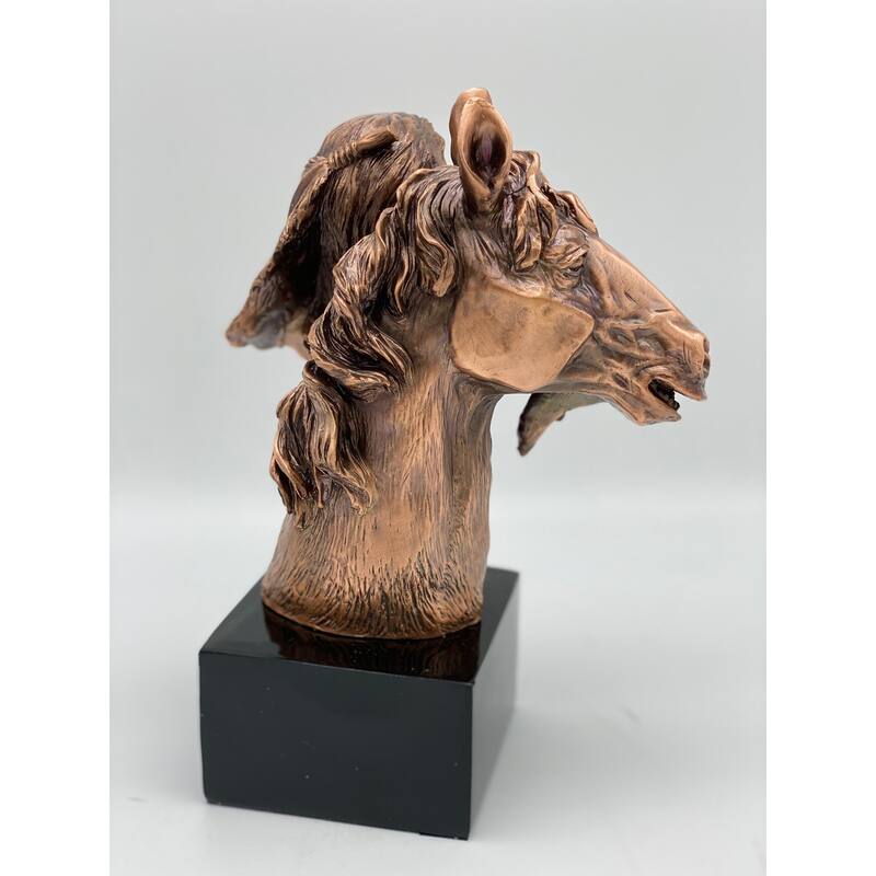 Native American with Horse