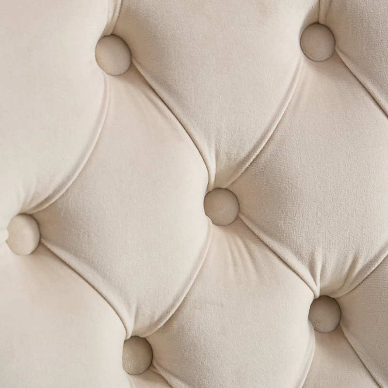 Mid-Century Modern Tufted Dining Chairs with Nailhead Trim and High Resilience Foam Cushions, for Dining Rooms, 2-Piece Set