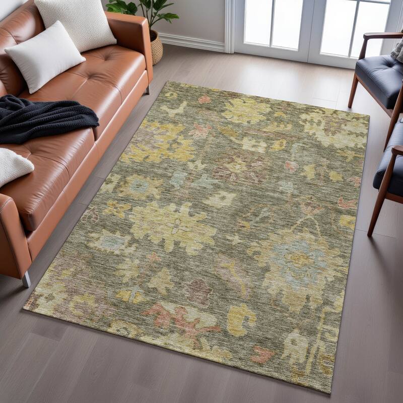 Premium Washable Super Soft Vintage Traditional Mayfield Rug