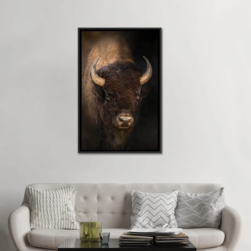 iCanvas "Bison In Light" by Patsy Weingart Framed Canvas Print
