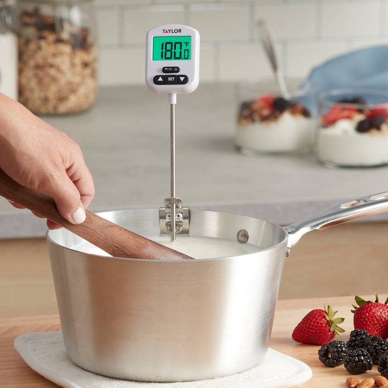 Taylor Programmable Digital Candy and Deep Fry and Adjustable Pan Clip