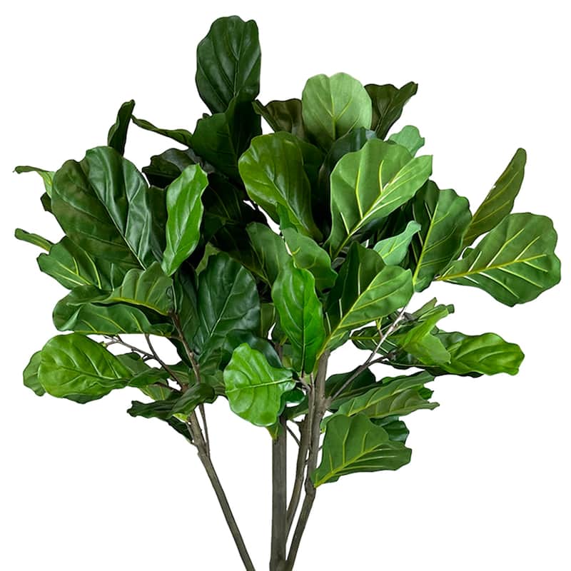 7 ft Fiddle Leaf Tree in a Fiberstone Pot - Green