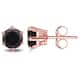Option Rose