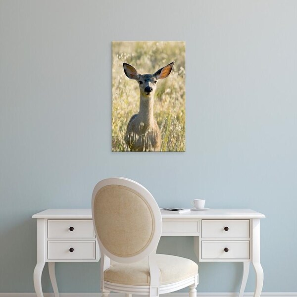 Easy Art Prints Paul Colangelo's 'Mule Deer' Premium Canvas Art