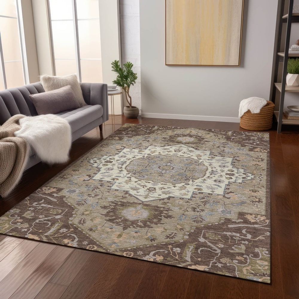 Machine Washable Indoor/ Outdoor Traditional Medallion Chantille Rug