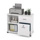 2 Drawers File Cabinet with Lock, Mobile Lateral Filing Cabinet for ...