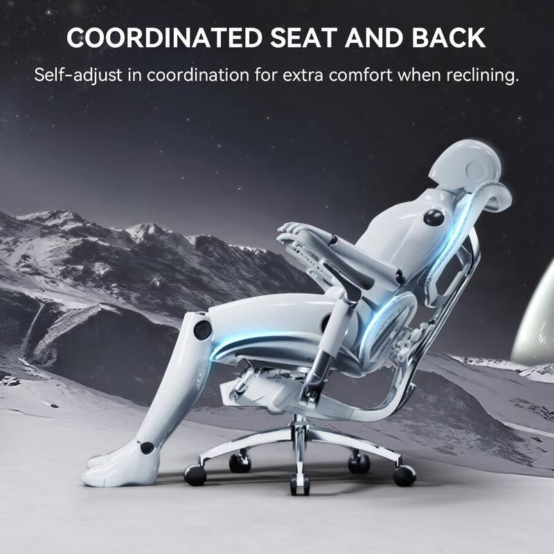 SIHOO Doro S300-White Ergonomic Office Chair- Lumbar Two-piece Dynamic Support