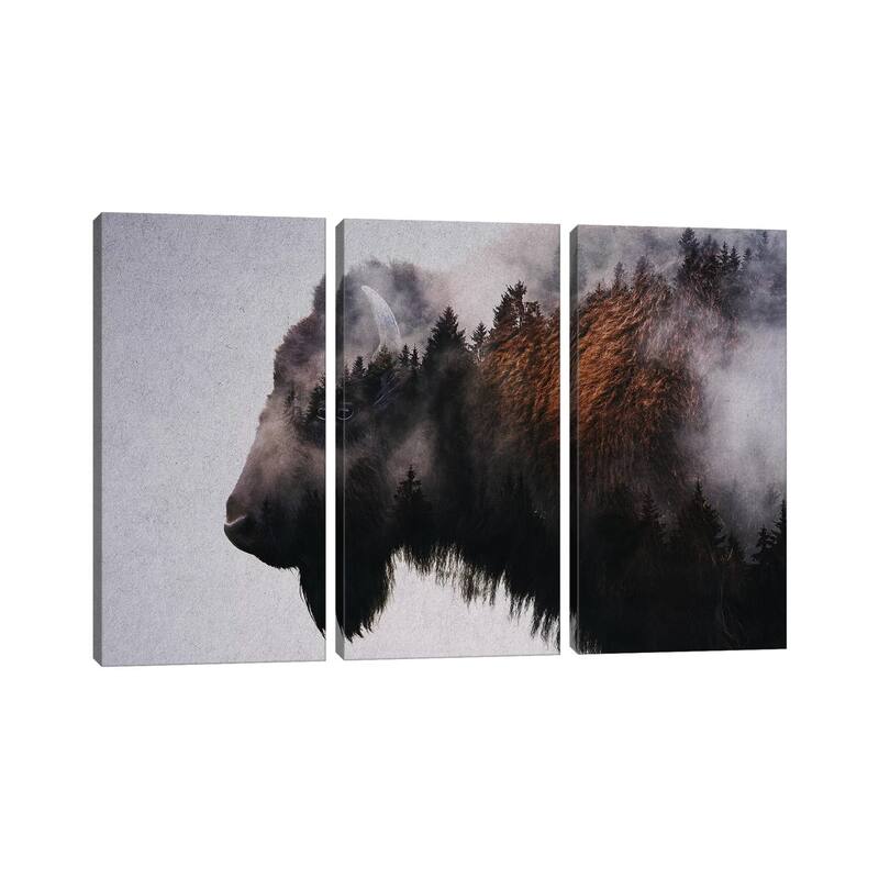 iCanvas "Bison" by Andreas Lie 3-Piece Canvas Wall Art Set