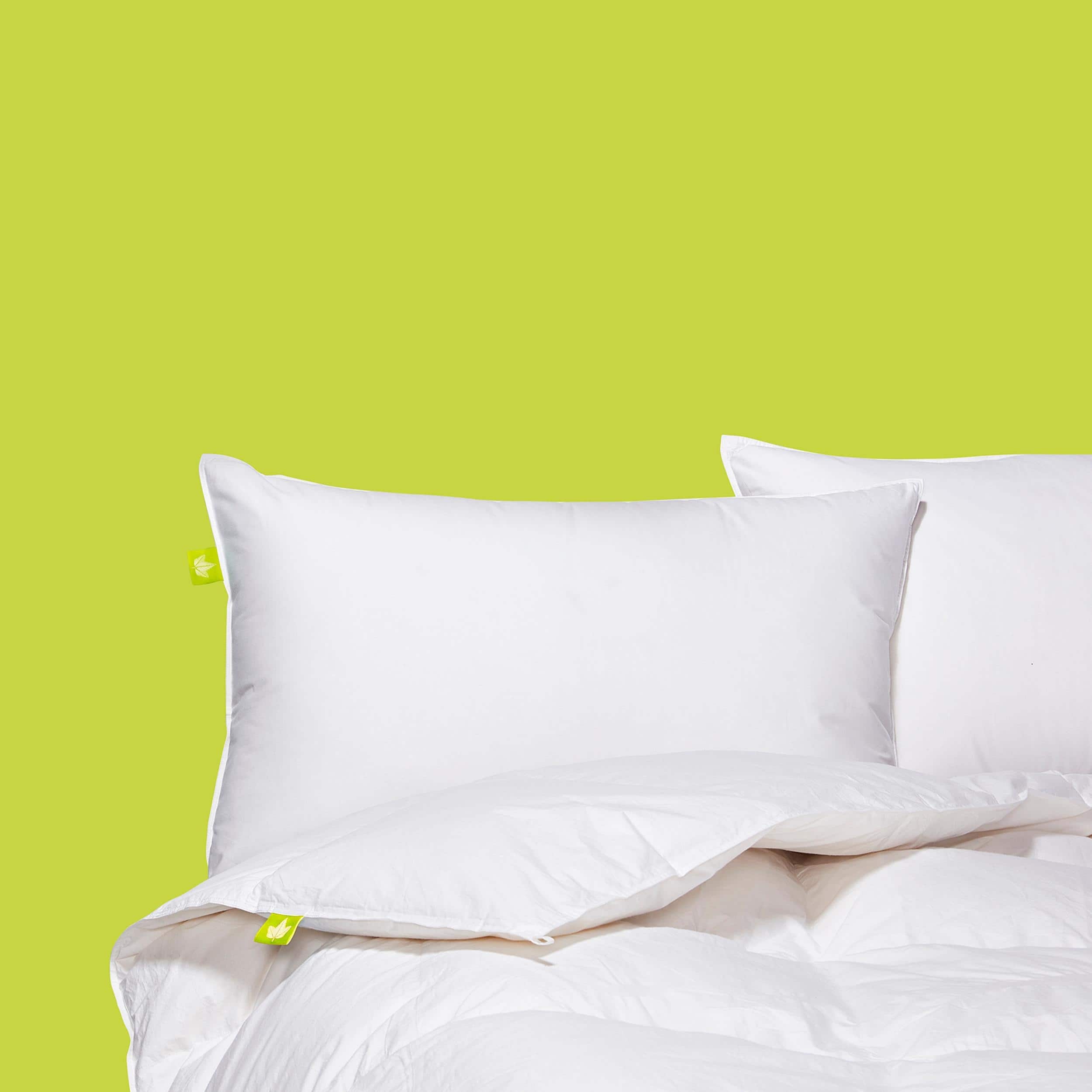 Canadian Down & Feather Co. Hutterite White Down Comforter All Season