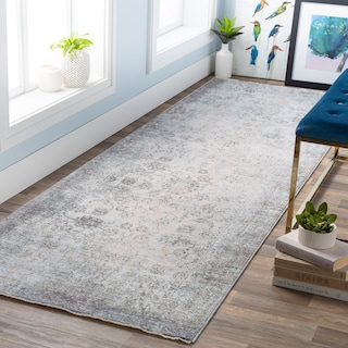 Harlan Distressed Traditional Area Rug - 3'3" x 8' Runner