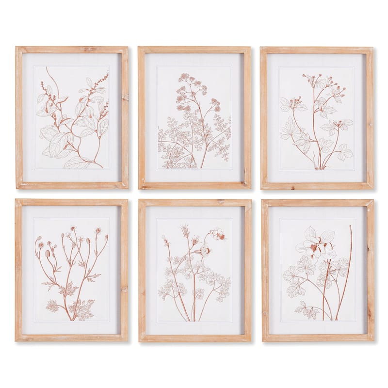 Botanicals In Blush Prints, Set Of 6