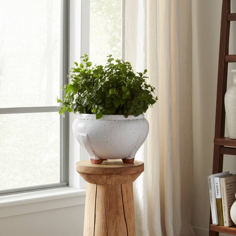 Terracotta Planter Crackled Glaze Round Footed Design - 6" White - 10" x 10" x 6"