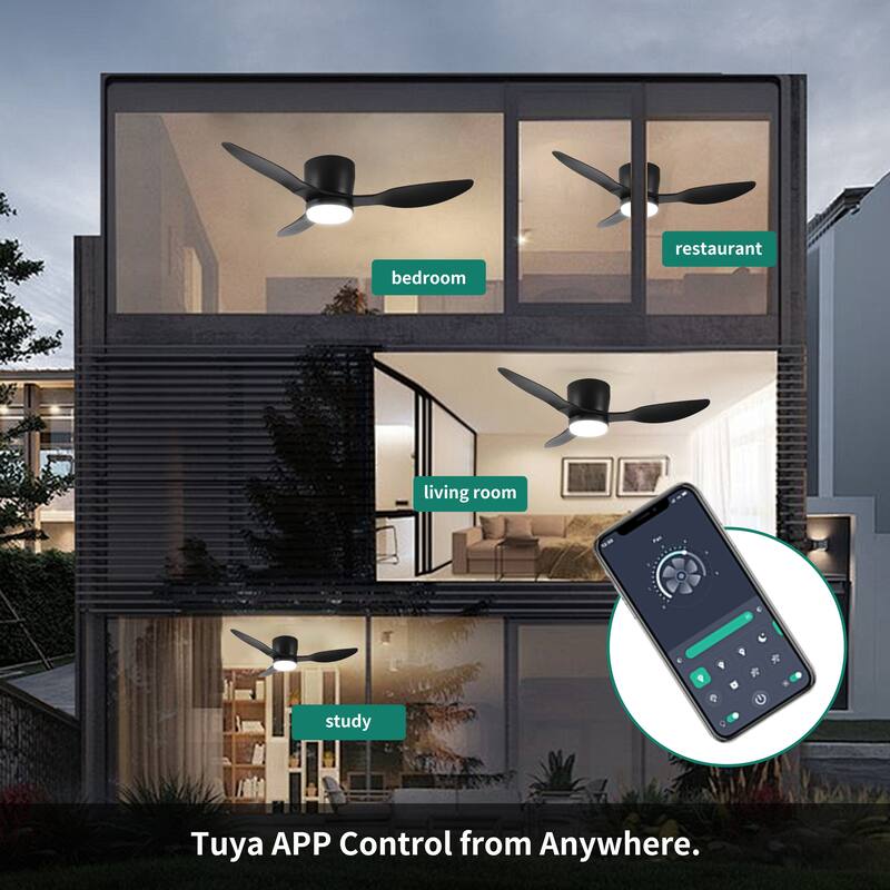 Reversible 6-Speed DC Motor Ceiling Fan with Smart App Control, Flush Mount Ceiling Fan with Color-Changing LED Light - Matte Black