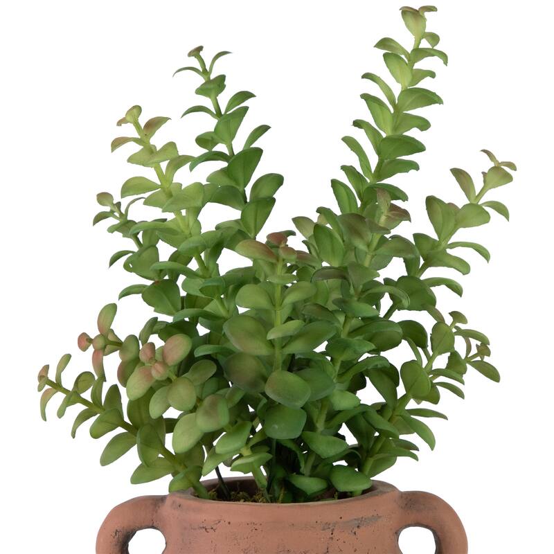 Artificial Privet Plant In Vintage Milk Can Style Earthenware Pot 14"