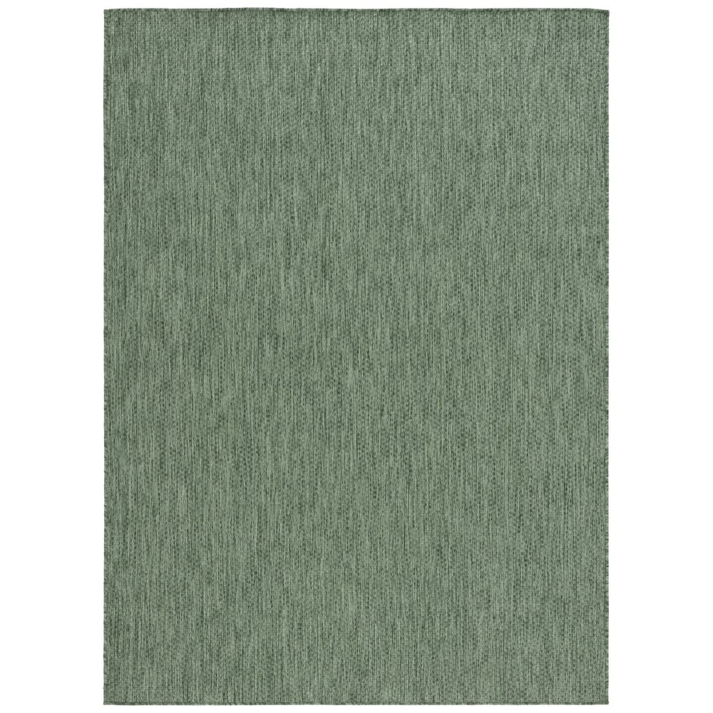 SAFAVIEH Beach House Aenne Transitional Indoor/Outdoor Rug