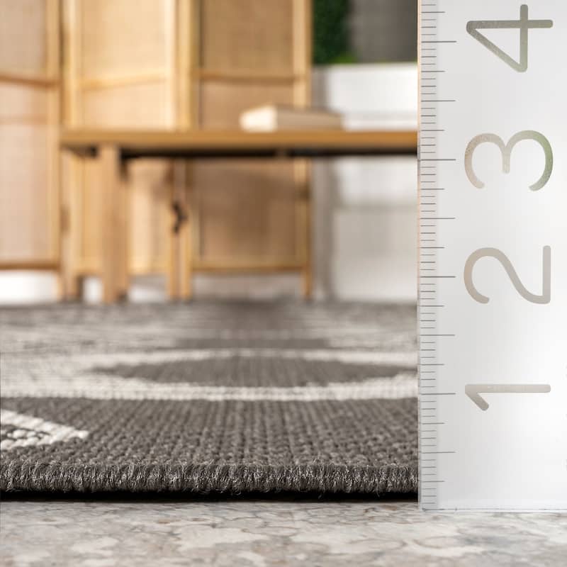 Nuloom Charlotte Contemporary Indoor/Outdoor Area Rug