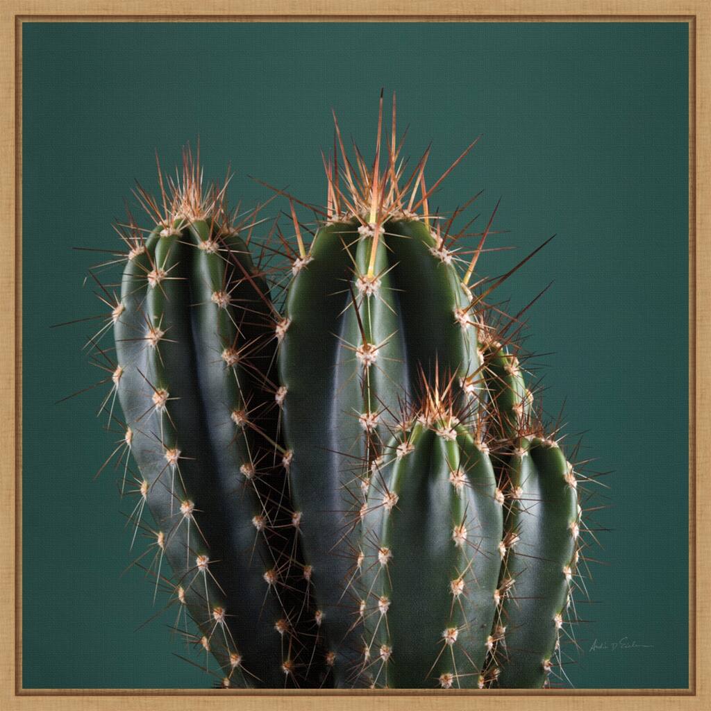 Cactus IV by Andre Eichman Framed Canvas Art