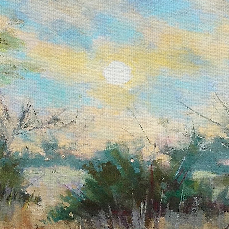 Texas Sunrise by Nancie King Mertz Canvas Art Print