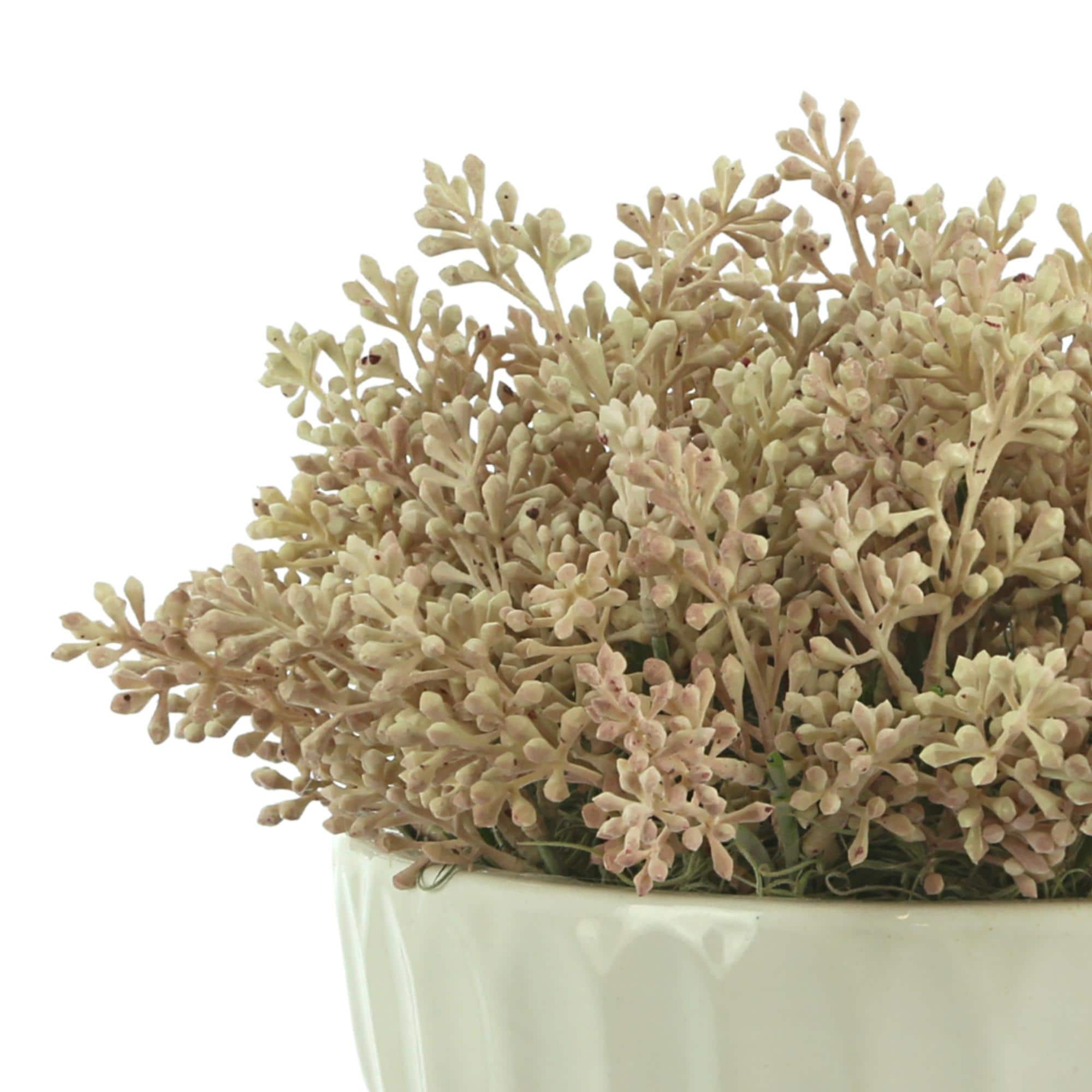 Seeded Eucalyptus Arrangement in Ceramic Vase - Pink, Cream - On Sale ...