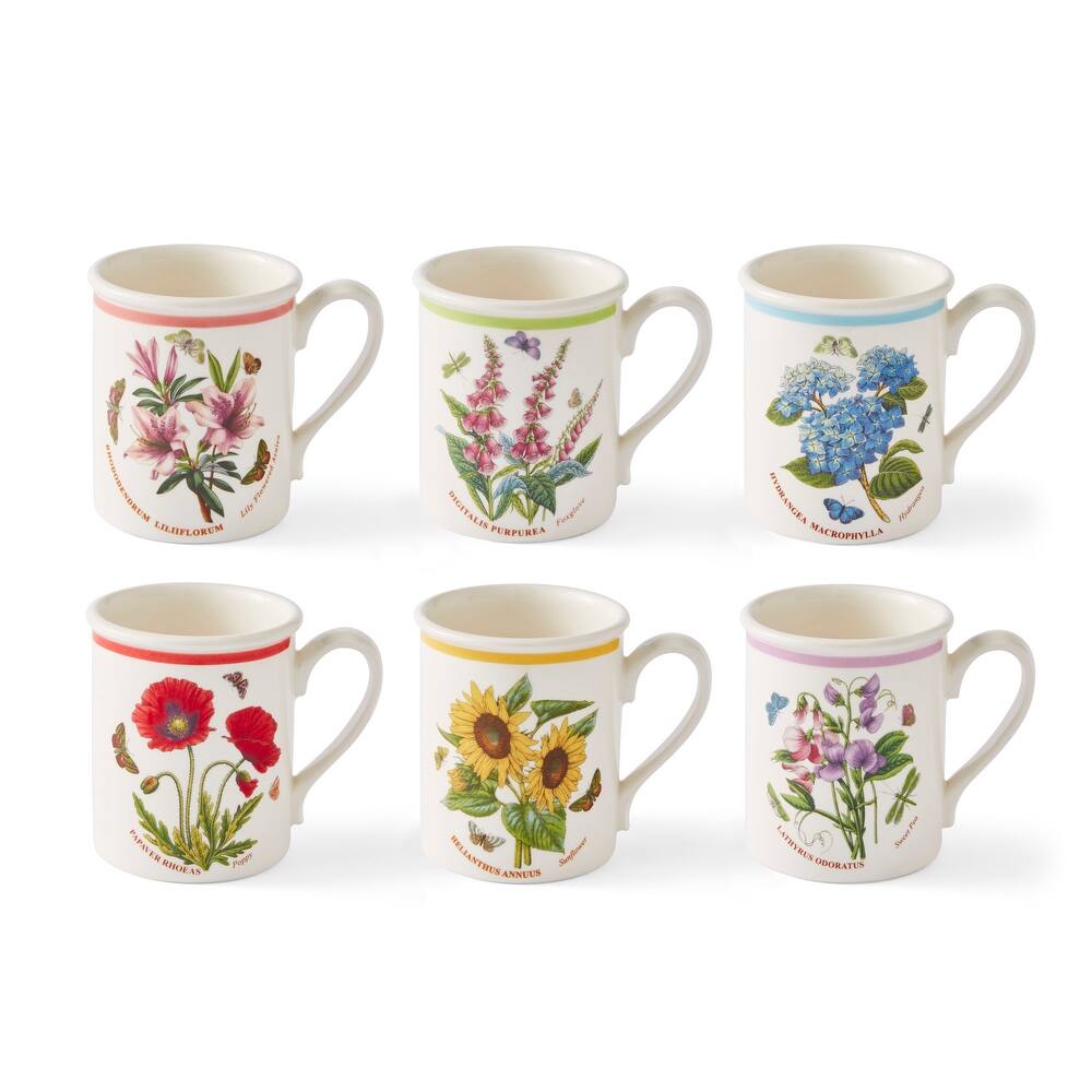 Portmeirion Botanic Garden Set of 6 Meadow Breakfast Mugs - 8.5 oz