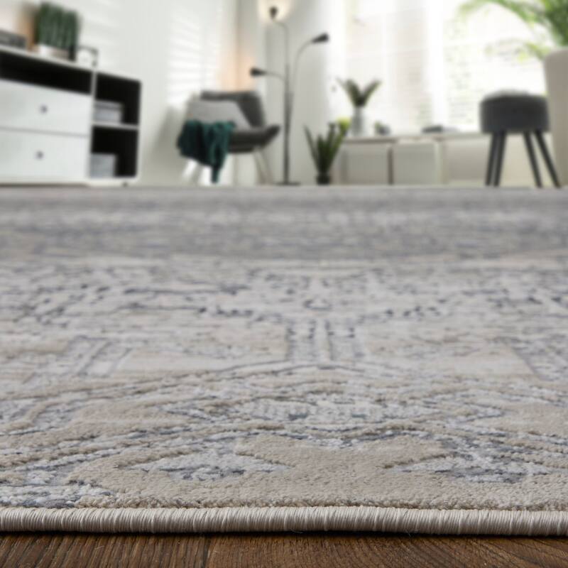 Adana R39LG Distressed Transitional Area Rug