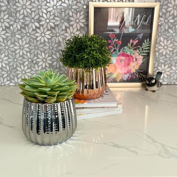 cache pot planter Monstera Cache Pot By Plantatorem Matte White / Case of 6